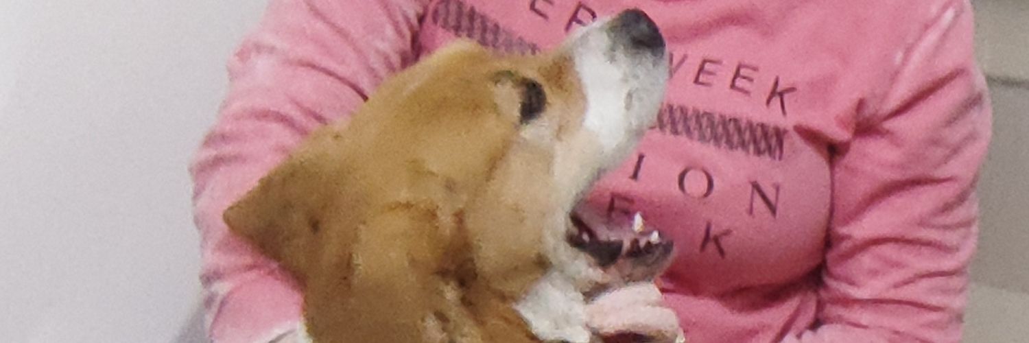 Alexis_Mantecon's profile banner image