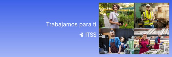 ITSS_INSPECCION Profile Banner