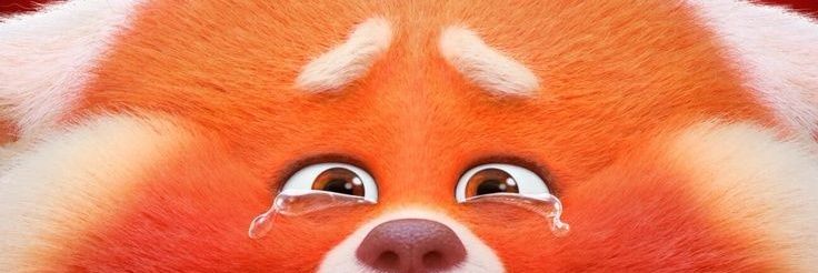 bebeljack's profile banner image