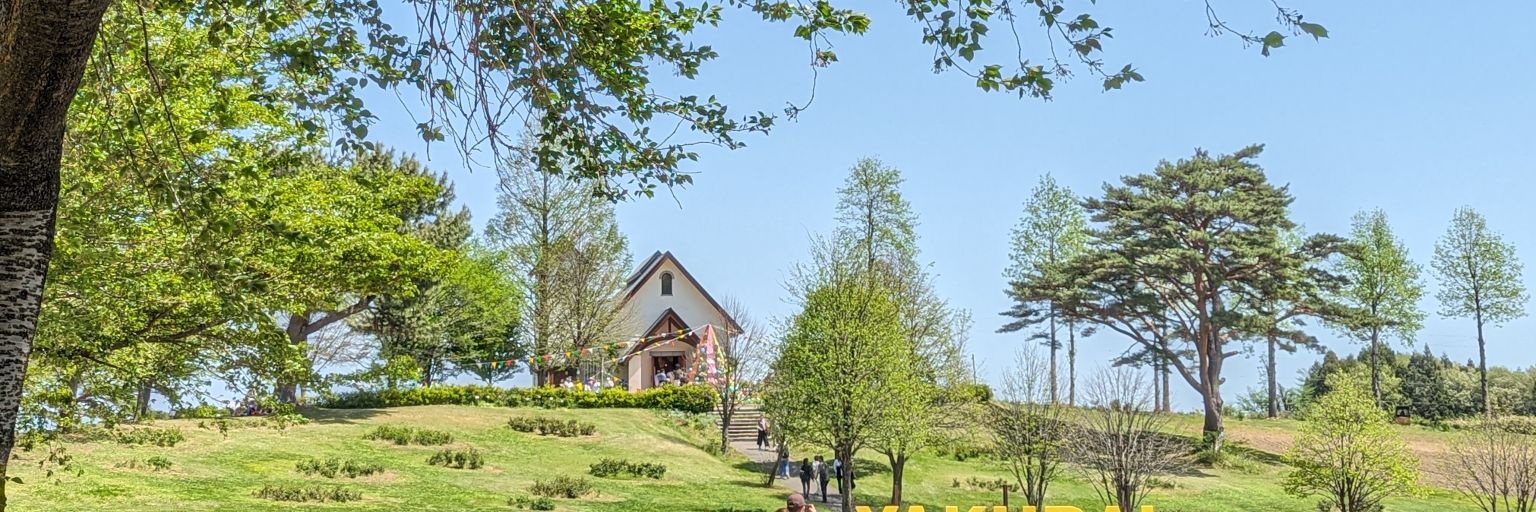 tea 𓂃 ⋆͛*͛ 𓇨𓍌 banner