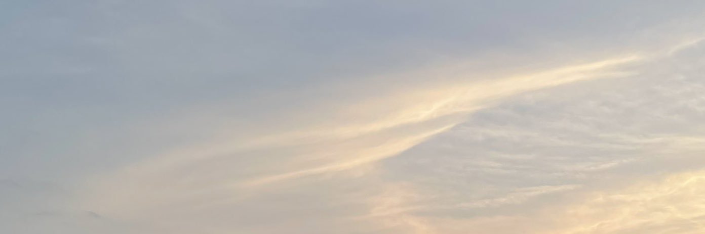 hadshoney's profile banner image