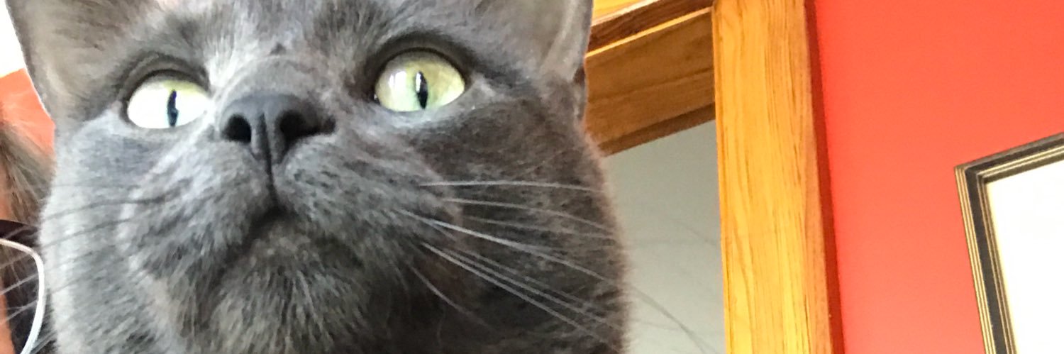 DeaPerez's profile banner image