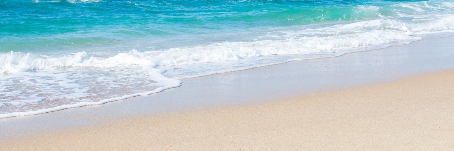 沙海's banner