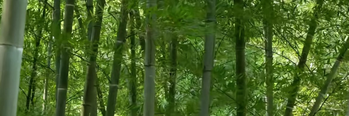 珐亥 banner
