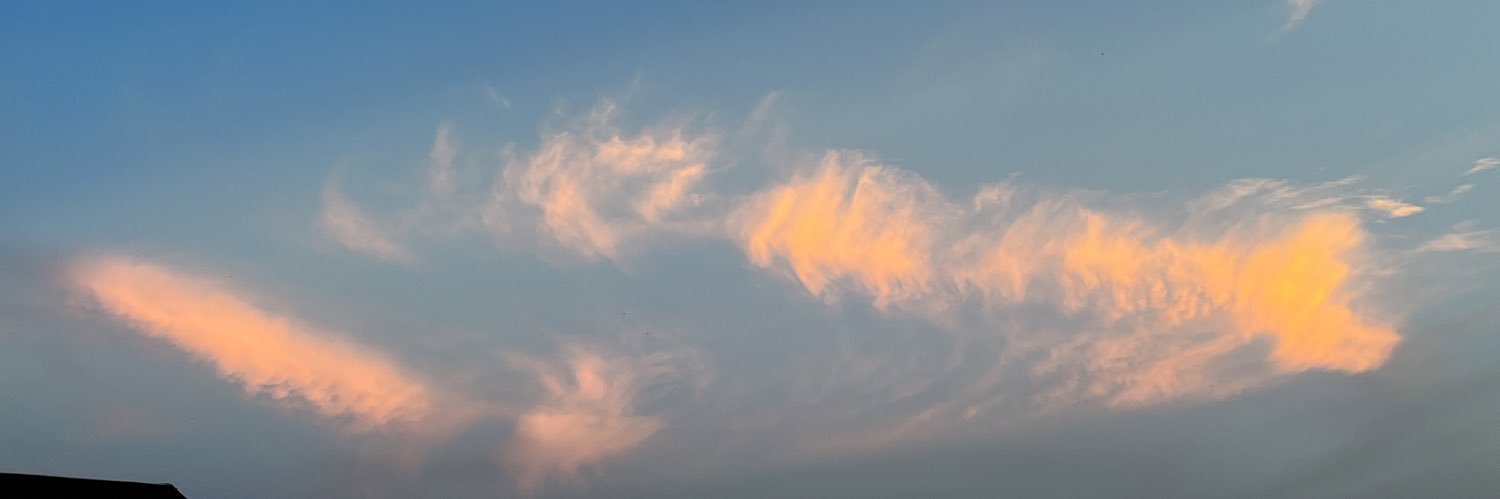 临沂夫妻 banner