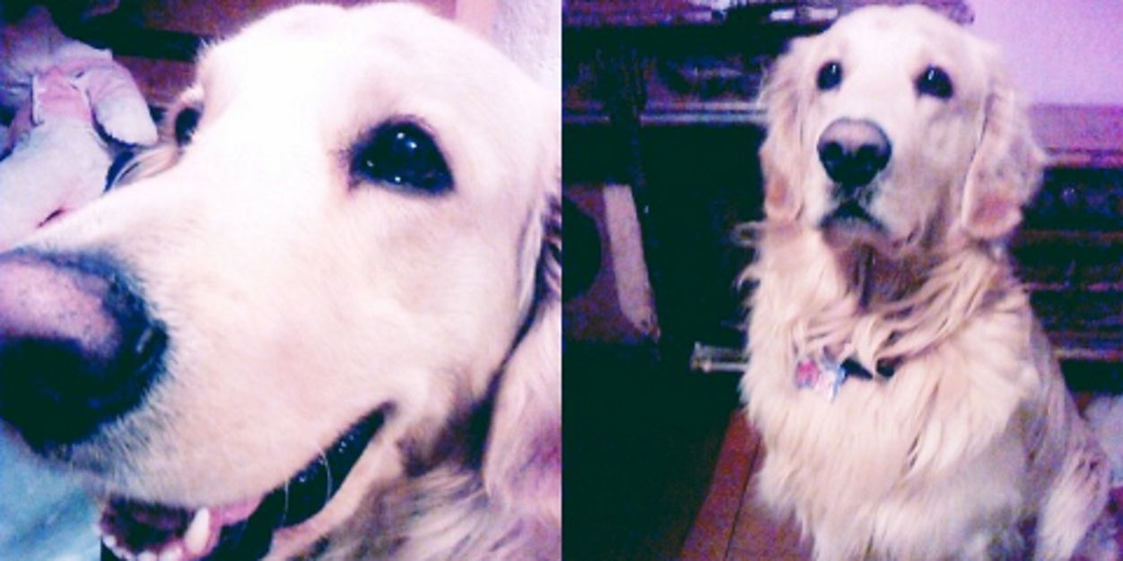 Angie Jerez banner