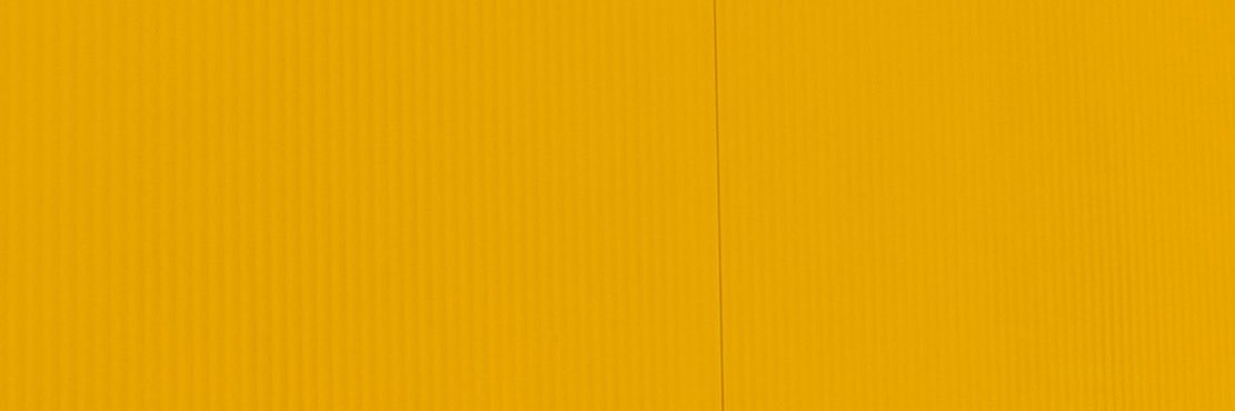 adioscelosh's profile banner image