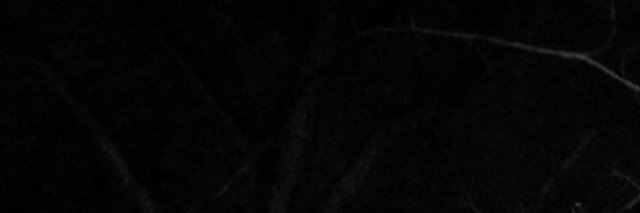 rapehater67's profile banner image
