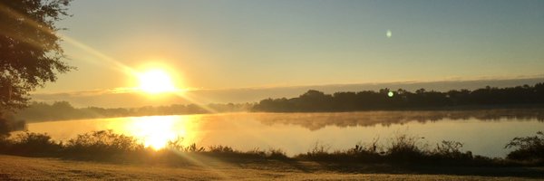 fcarvalhinho1 Profile Banner