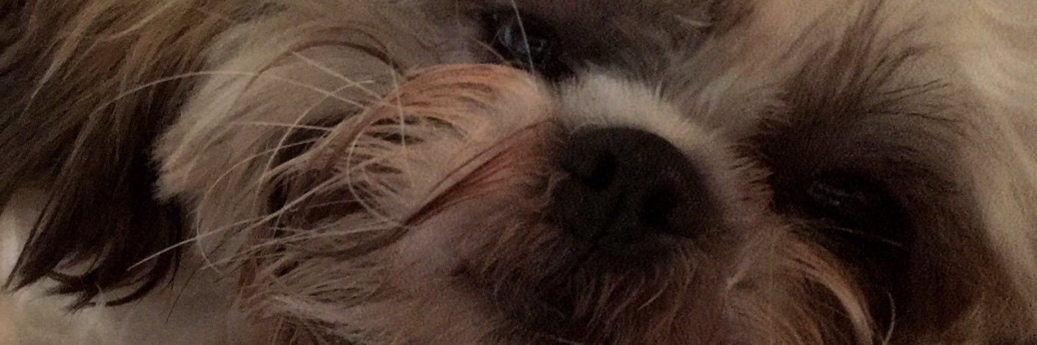 sodepressed96's profile banner image