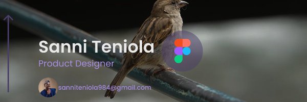 SanniT0 Profile Banner