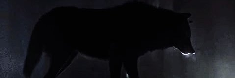 𝙕𝙚𝙪𝙨 banner