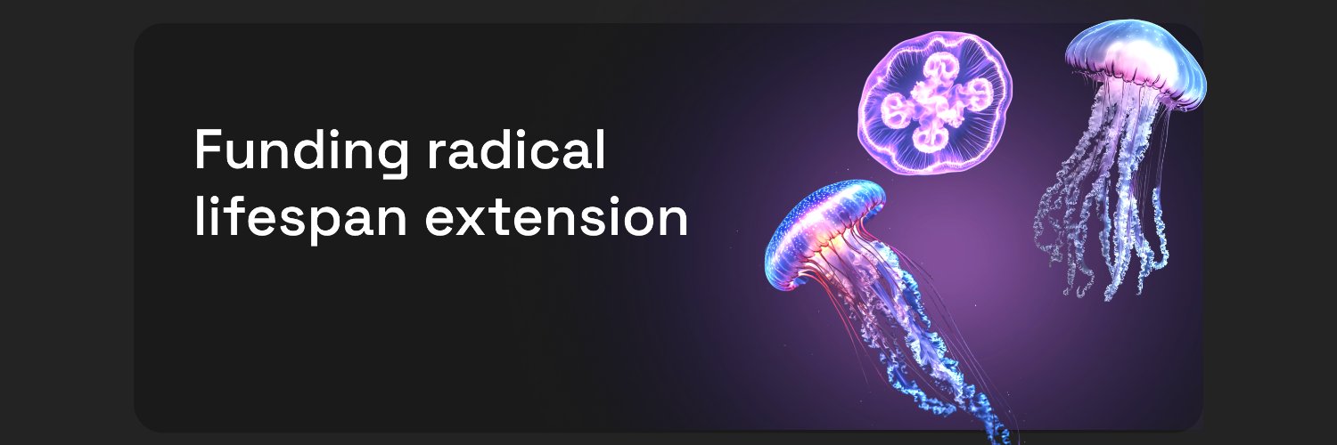 LongGame Ventures banner