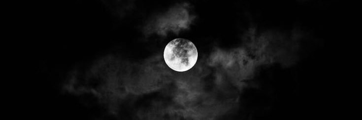 Walker ( IRL ARC )🌾 banner