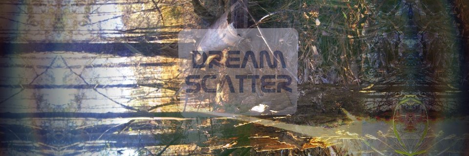 dreamscatter's profile banner image