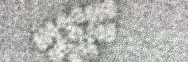 cyano_light Profile Banner