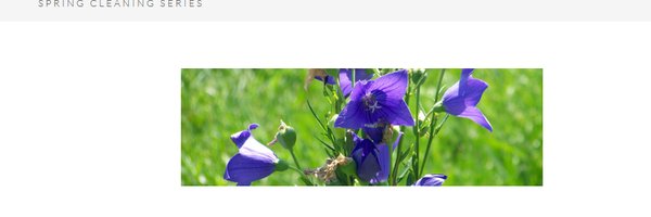 MissingLynxx Profile Banner