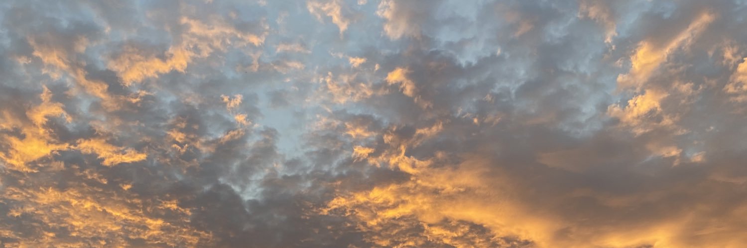 fiineappple's profile banner image