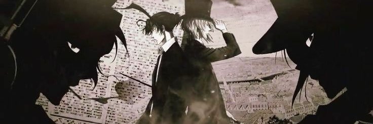 jenavo banner