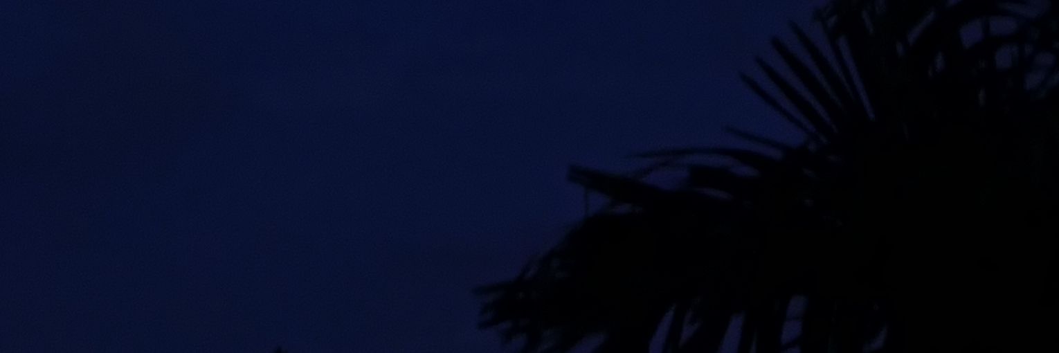 ZysuInGa's profile banner image