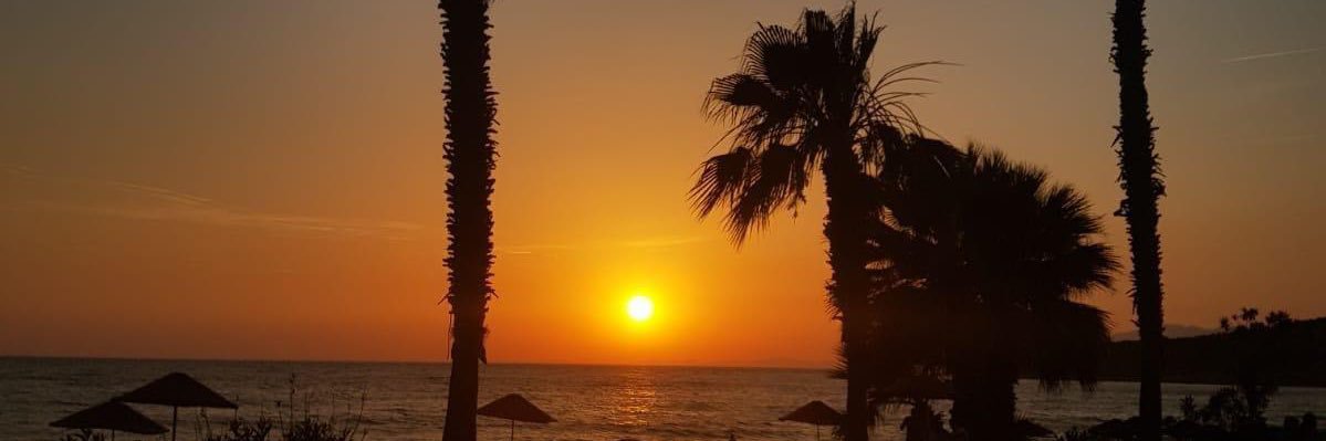 salcaolayim's profile banner image