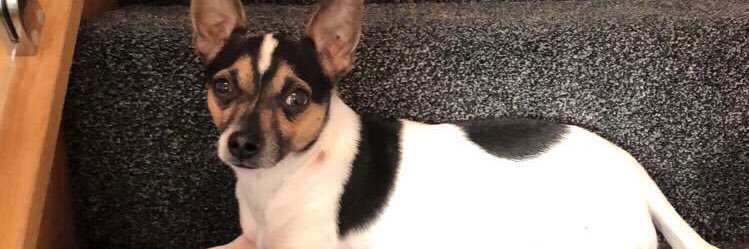 Ashleigh🌸💖 banner