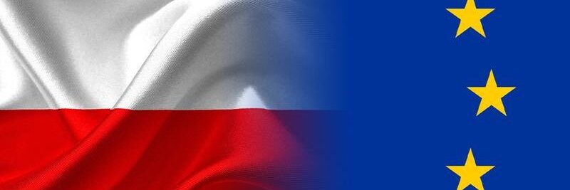 Prof. Karol Karski banner