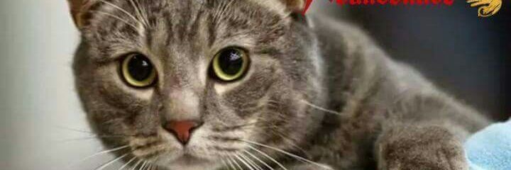 jimd30's profile banner image