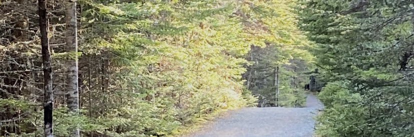 gstagg7's profile banner image