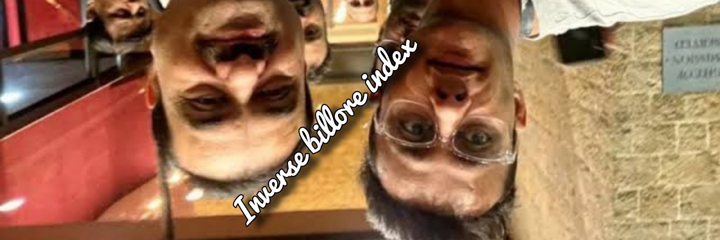 Inverse Billore Index banner