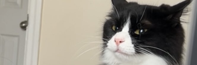 alahniece's profile banner image