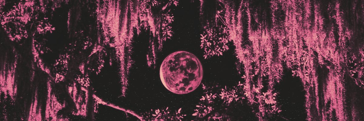 𝐀𝐕𝐄𝐑𝐘. banner