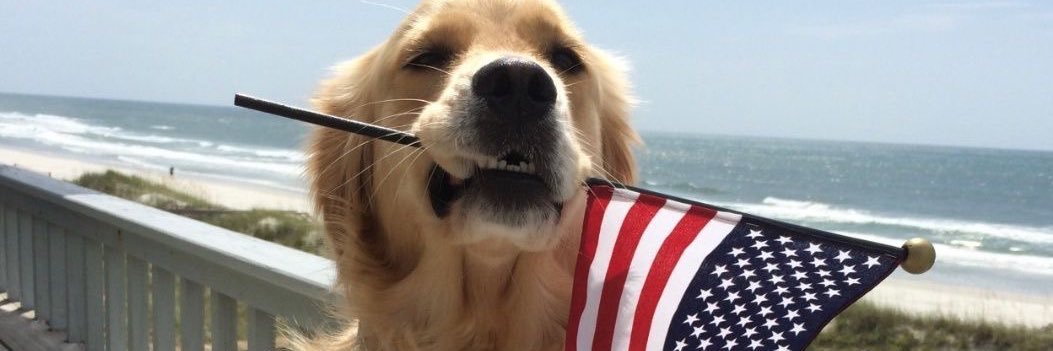 Alper🇺🇸🇪🇸🇪🇺🗽 banner