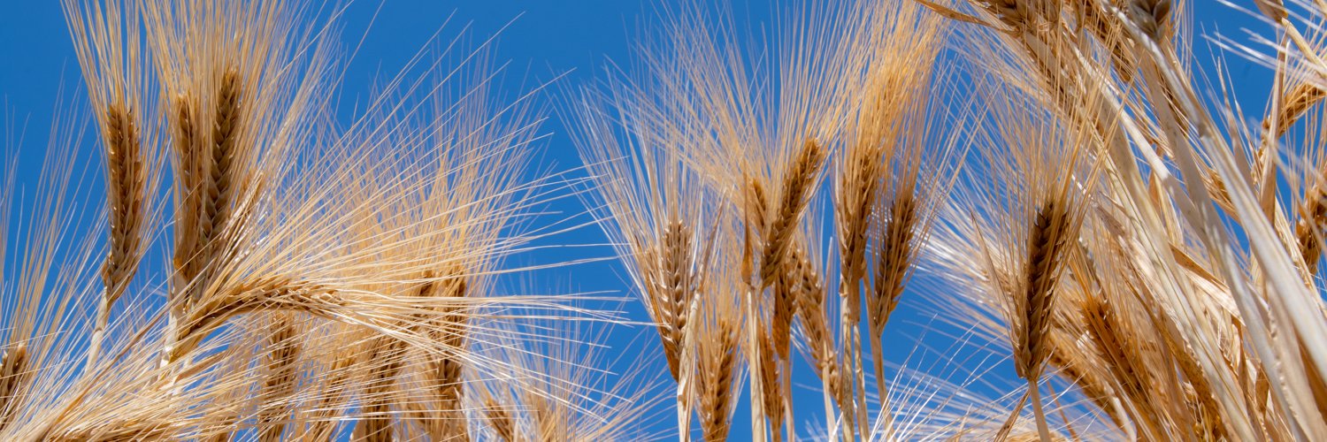 MichaelMajorMed's profile banner image