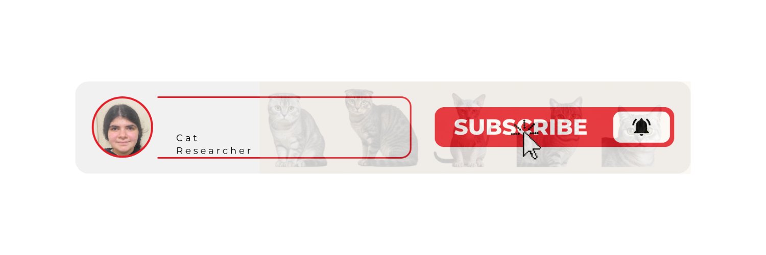 Cats25800's profile banner image