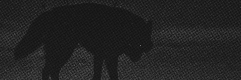 _Beniimaru's profile banner image