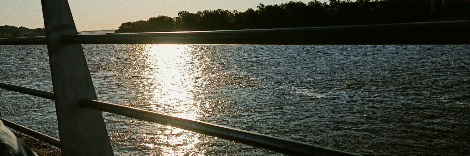 lou ☆ banner
