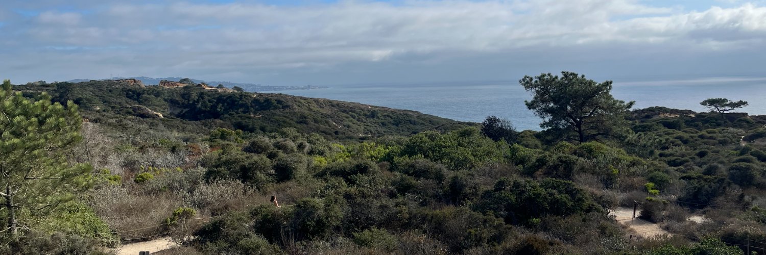 RoamingOcelot banner