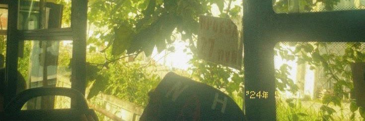 Mishiiimo's profile banner image