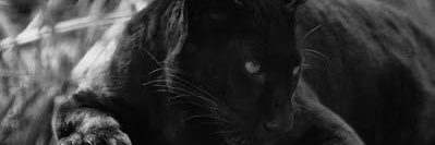 marcin_just's profile banner image