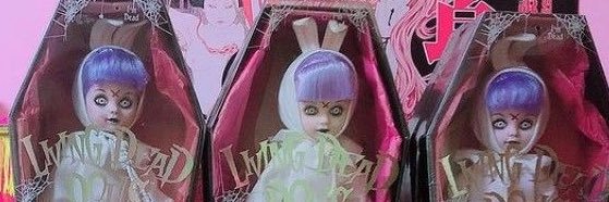 rozzie / mleko 🐾🦴💒 banner