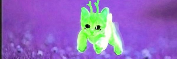 scyghosty Profile Banner