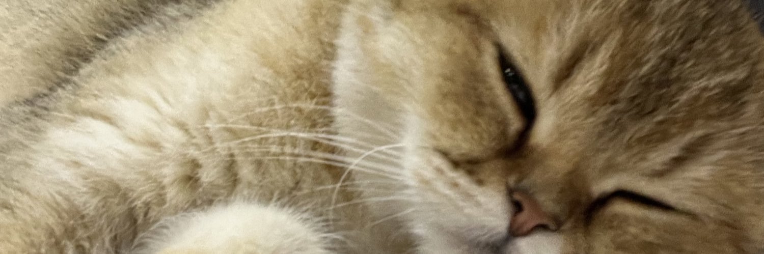 evalcl000's profile banner image