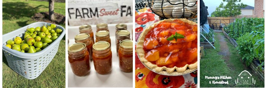mommyskitchen's profile banner image