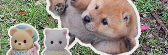 a_planb's profile banner image