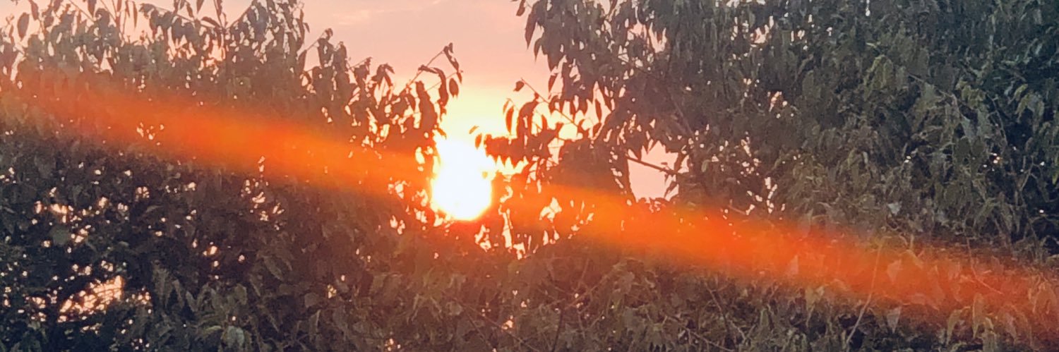 Zeezo_Bowss 🍊 banner