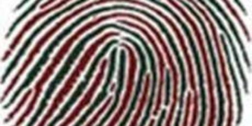 odiloncalixtolf's profile banner image