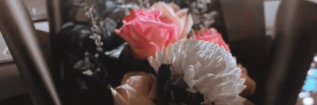 annisadeesy's profile banner image
