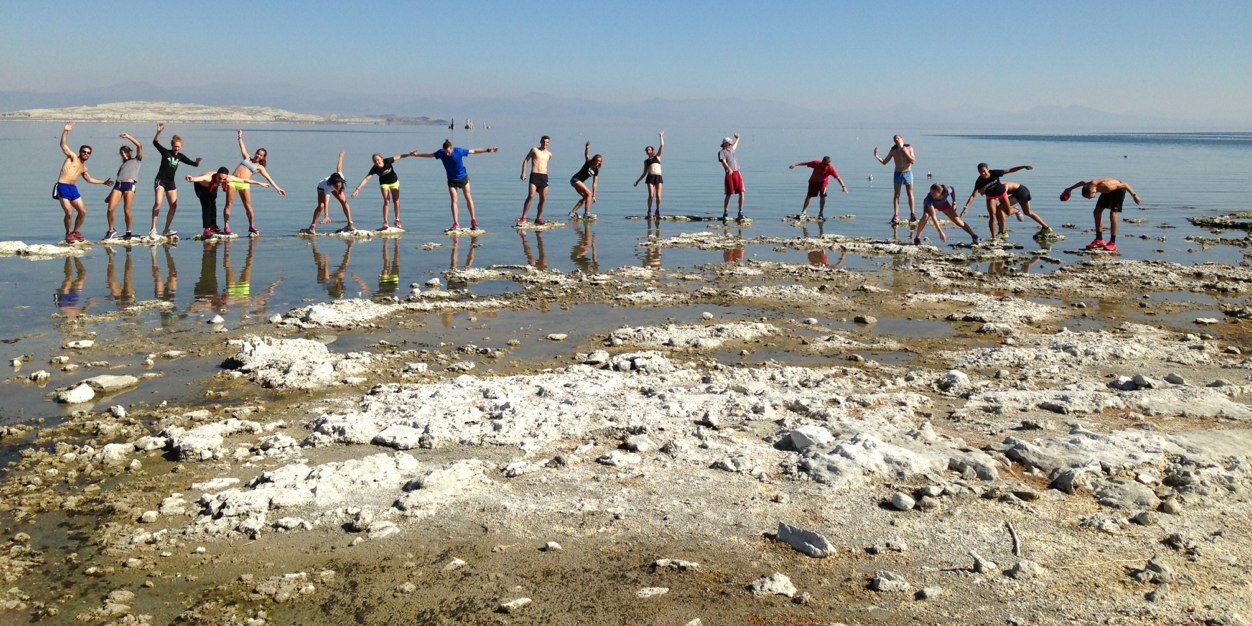 Aisling Cuffe banner
