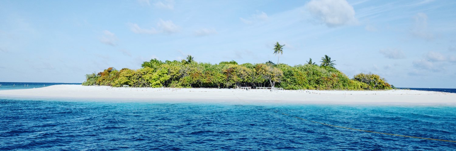 thaanu16's profile banner image